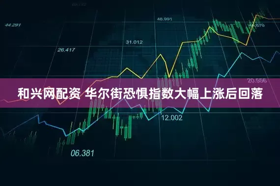 和兴网配资 华尔街恐惧指数大幅上涨后回落